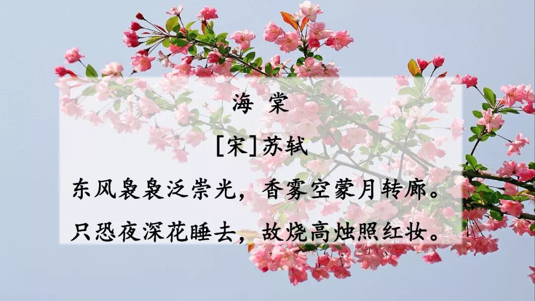 花钟教学内容ppt课件图片预习