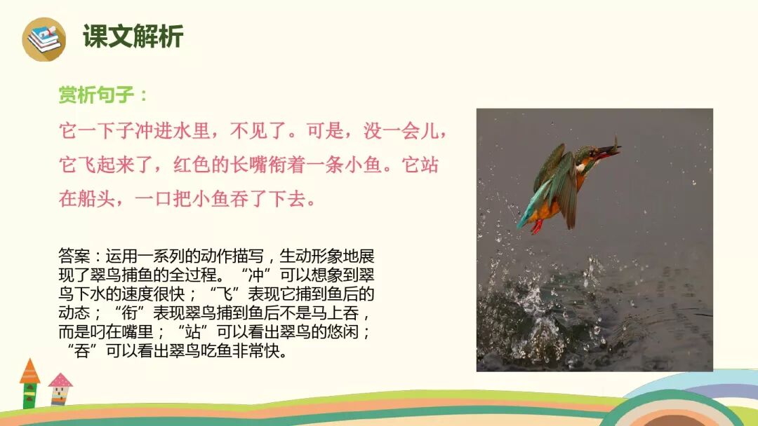 搭船的鸟课文原文_搭鸟的船_小学语文搭船的鸟的课文