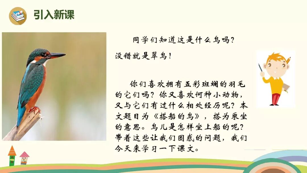 小学语文搭船的鸟的课文_搭鸟的船_搭船的鸟课文原文