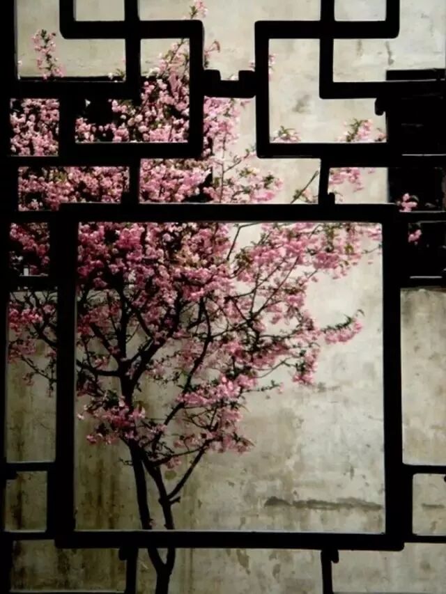 安惠生活：丰富自己，胜过取悦别人