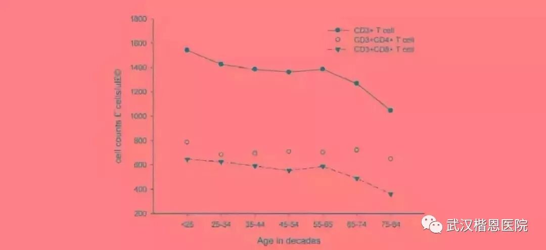 NK细胞：当我杀死癌细胞的那一刻，连我自己都害怕！