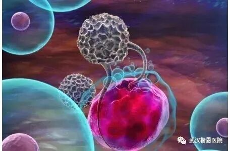 NK细胞：当我杀死癌细胞的那一刻，连我自己都害怕！