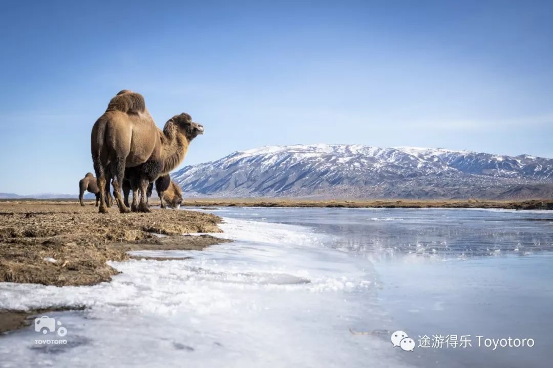 【房車生活】蒙古自駕之旅——自由是一道苦樂參半的美食，蒙古是它最好的廚師 旅遊 第9張