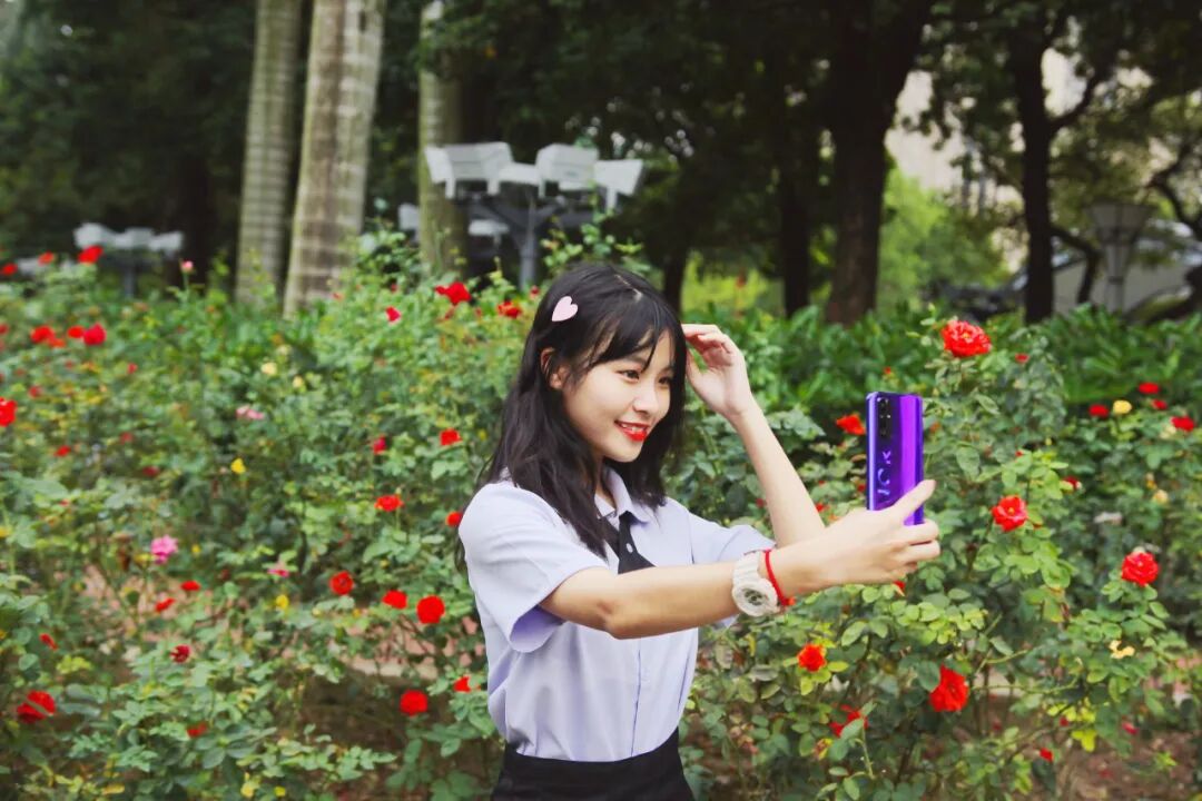 1500 禅城大片玫瑰花海如期绽放 免费赏 禅城发布 微信公众号文章 微小领