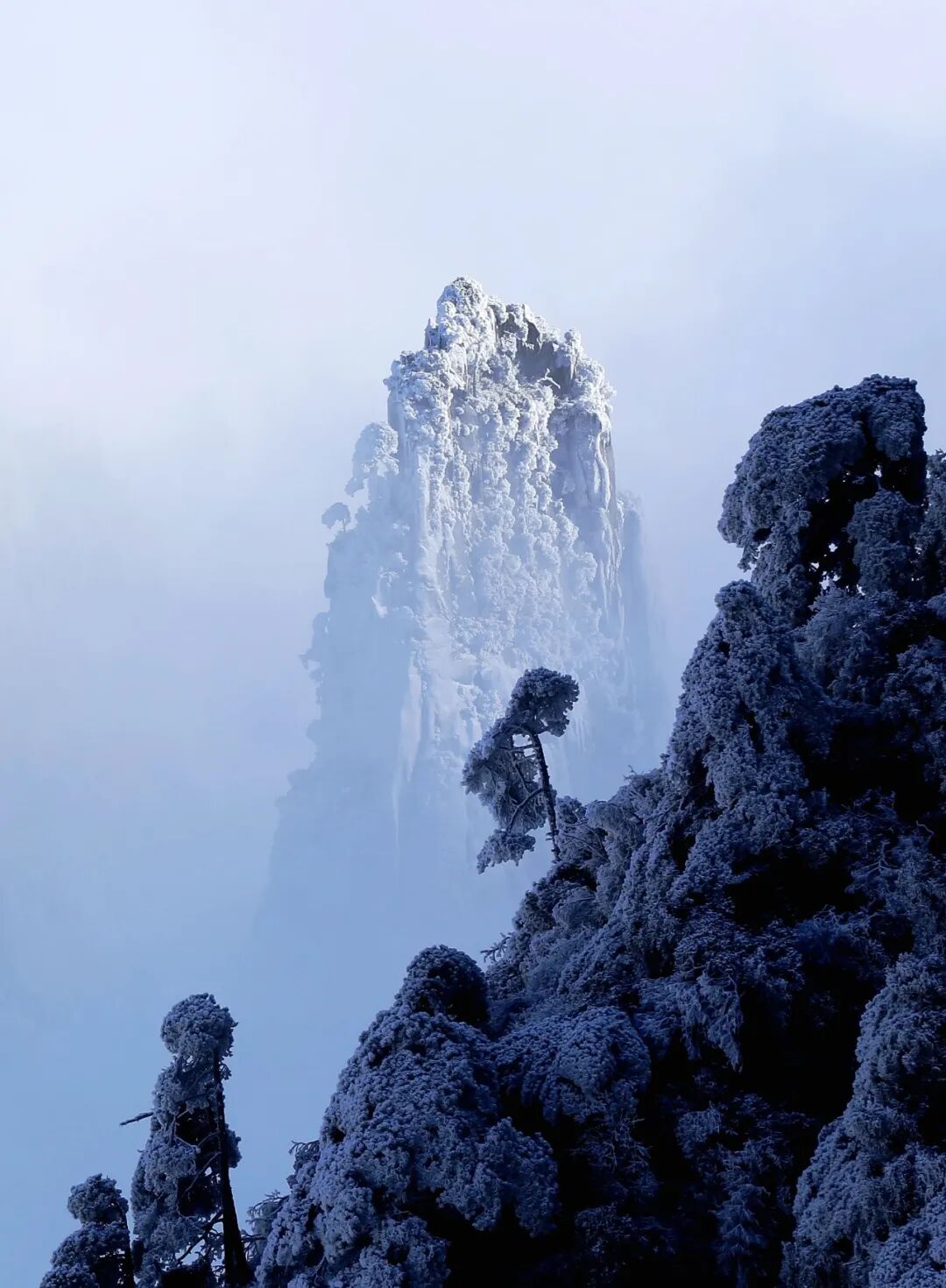 小年之日!三清山迎来了频看雪景94今日小年