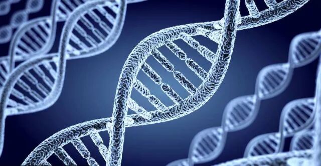 科学家眼中的DNA无序之美（新技术）