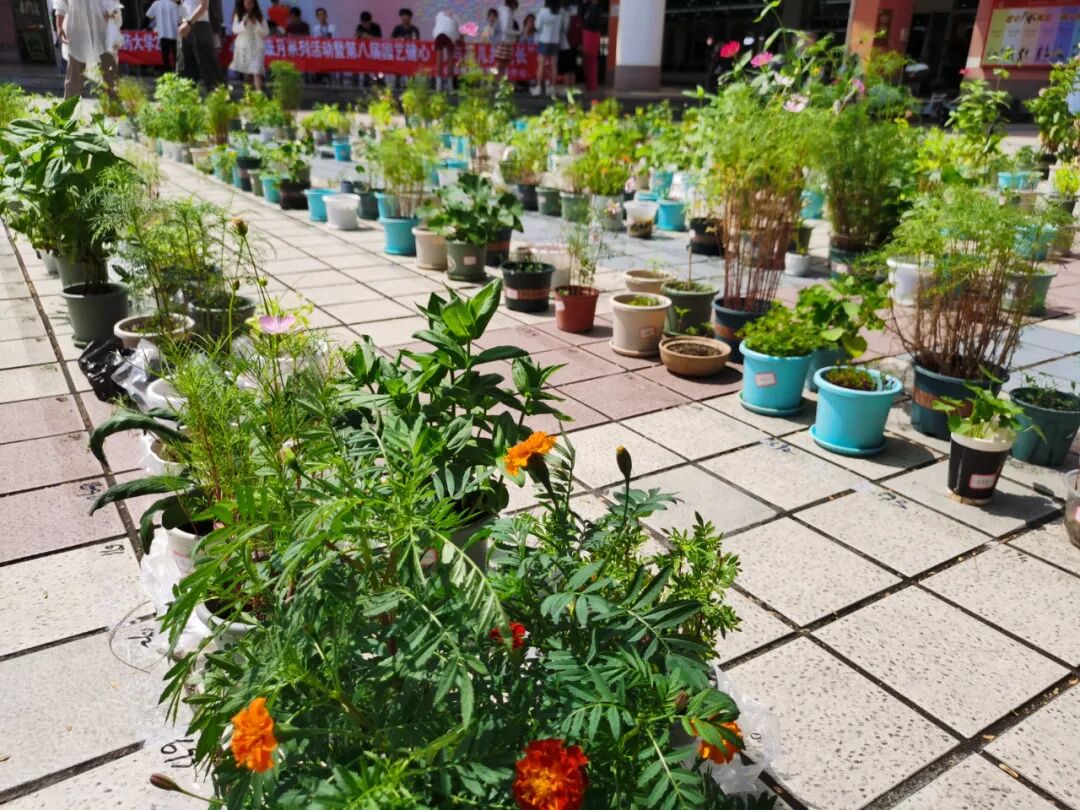 fa6100怎么使用“早八”又开始了，怎么做更好的自己呢？听心理老师怎么说！_https://www.jmylbn.com_新闻资讯_第10张