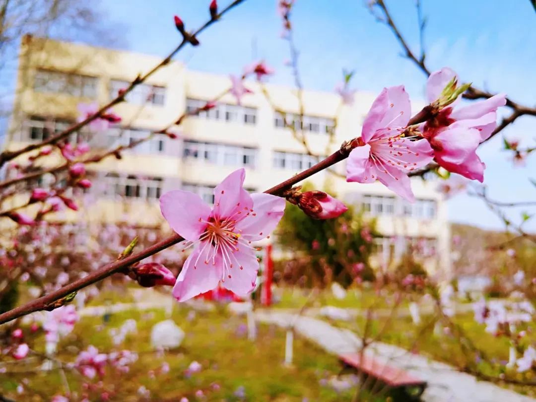 南京机电职业技术学院怎么样_南京机电学院职业技术学院官网_南京职业机电技术学院新校区