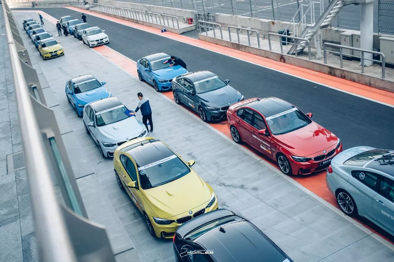 周末清晨，是谁叫醒了你？