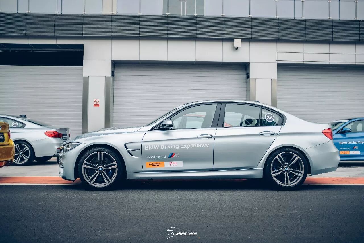 周末清晨，是谁叫醒了你？