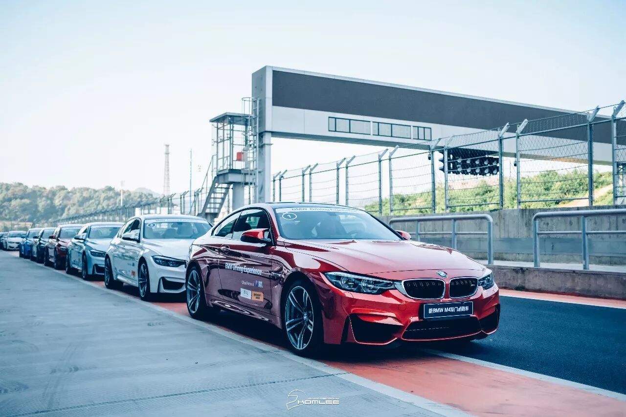 周末清晨，是谁叫醒了你？