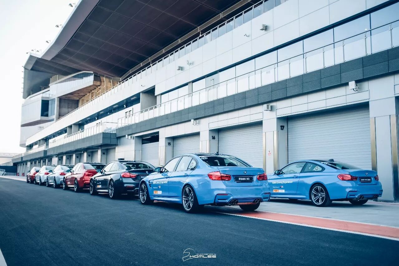 周末清晨，是谁叫醒了你？