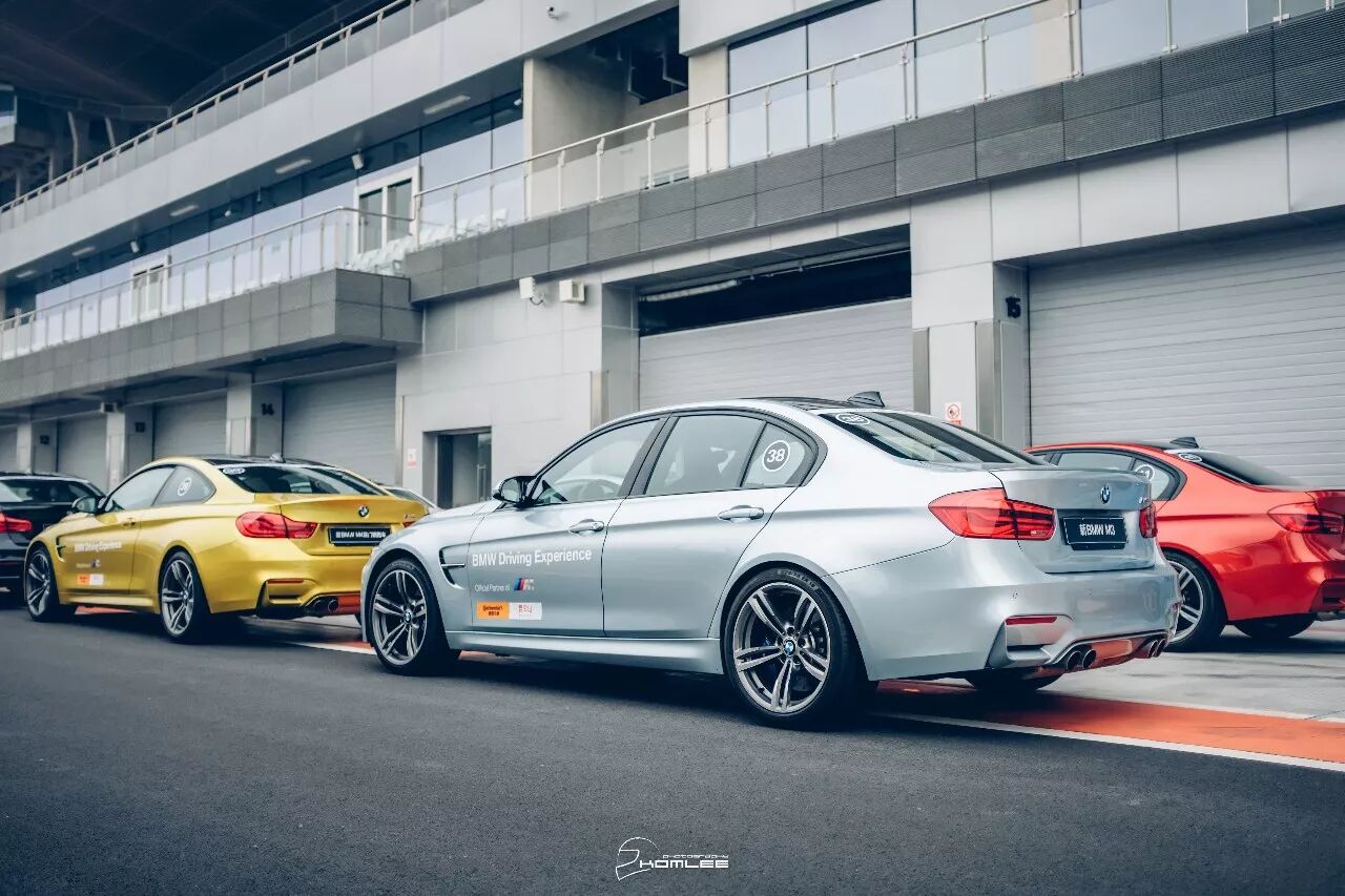 周末清晨，是谁叫醒了你？