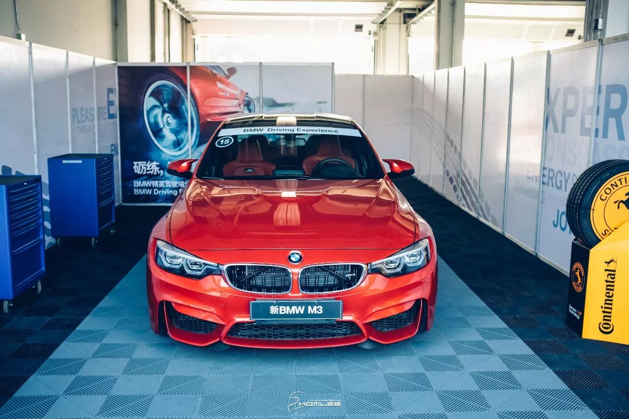 周末清晨，是谁叫醒了你？