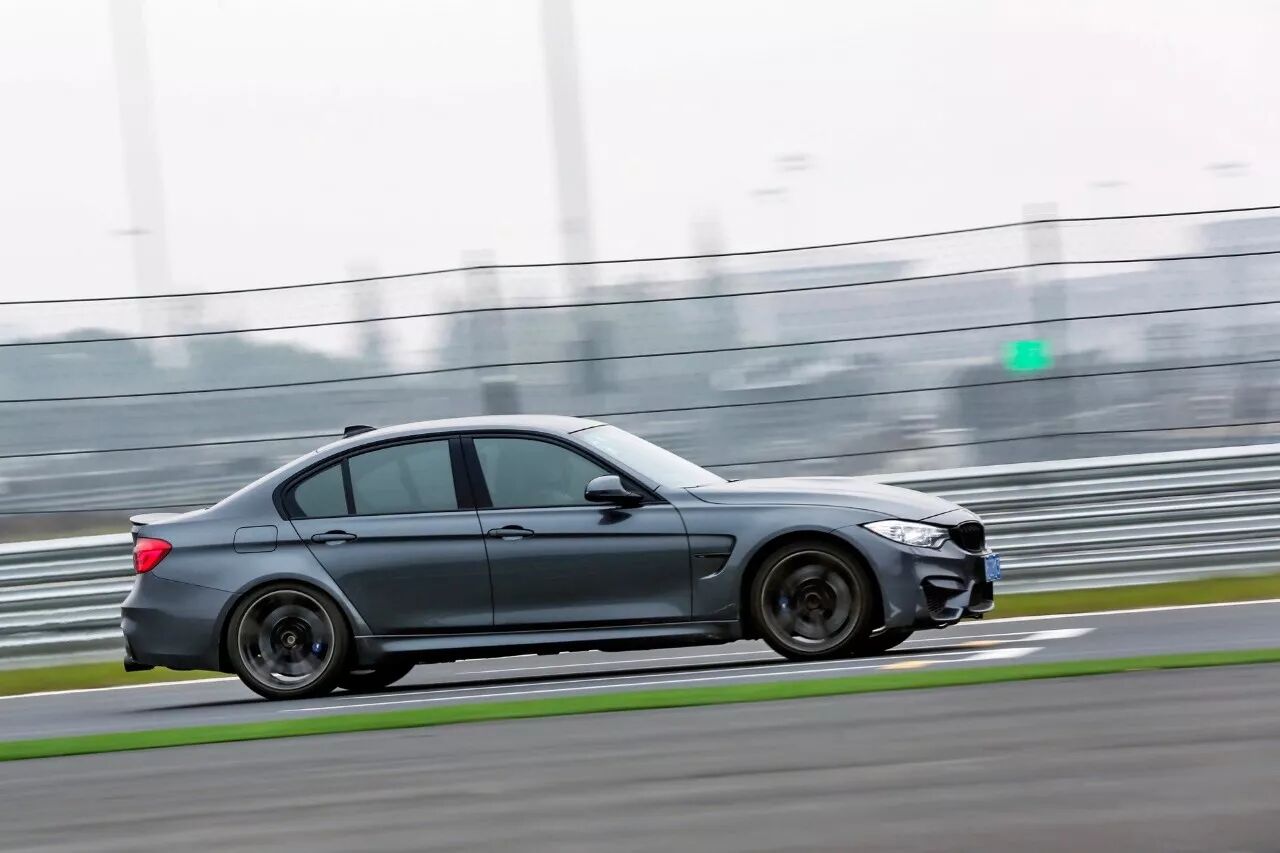 周末清晨，是谁叫醒了你？