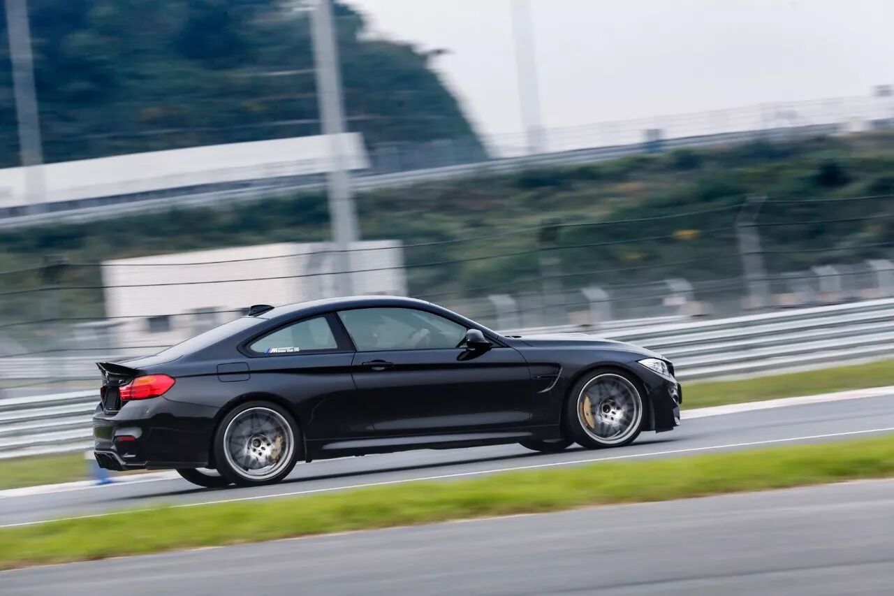 周末清晨，是谁叫醒了你？