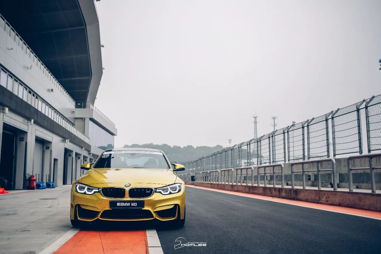 周末清晨，是谁叫醒了你？