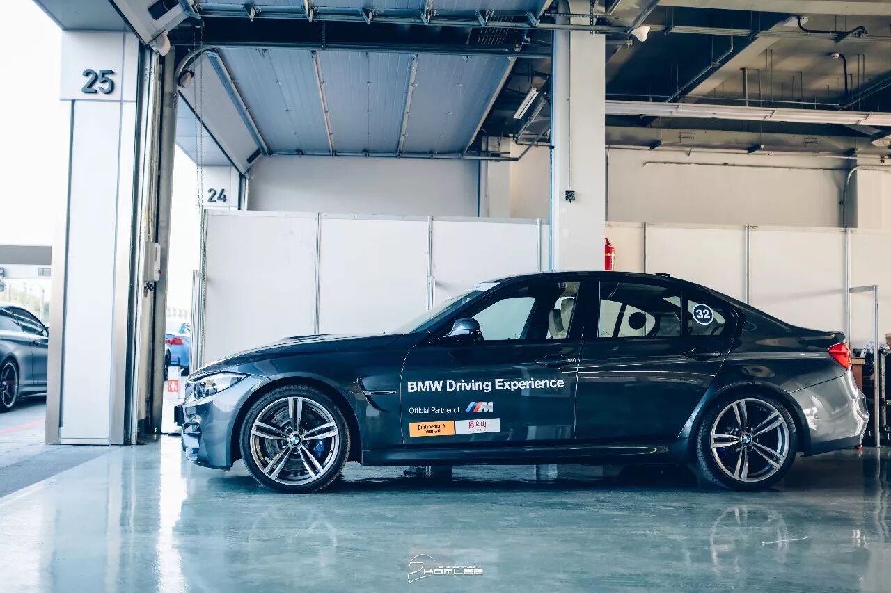 周末清晨，是谁叫醒了你？