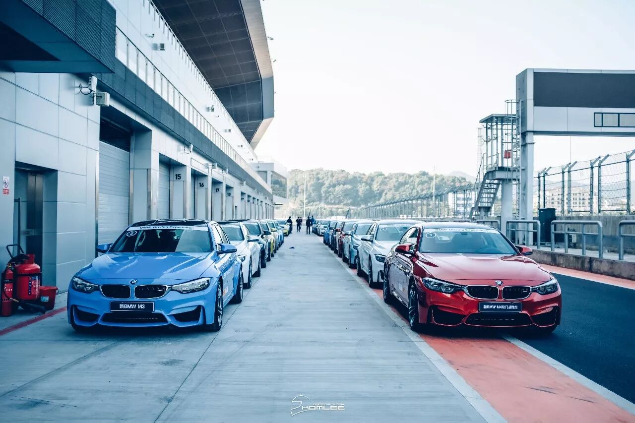 周末清晨，是谁叫醒了你？