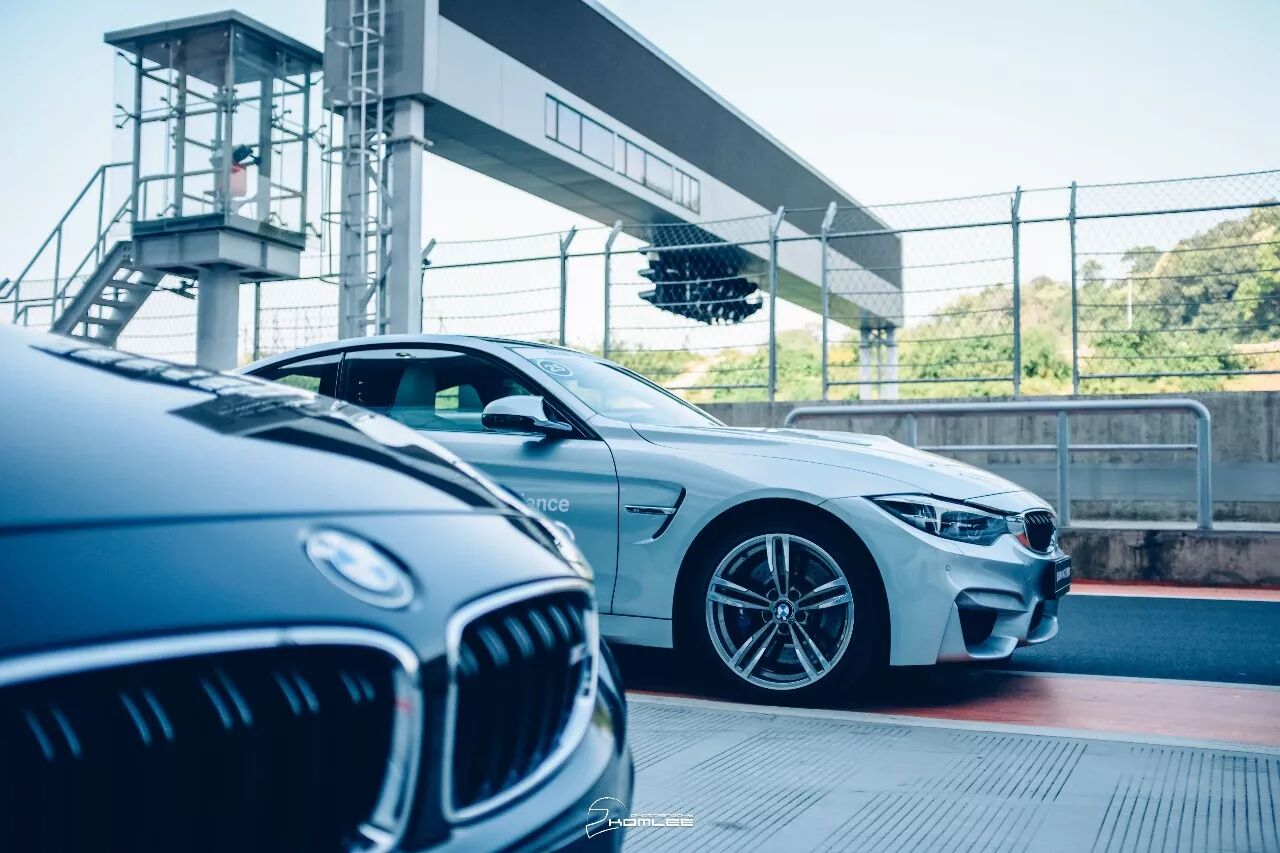 周末清晨，是谁叫醒了你？