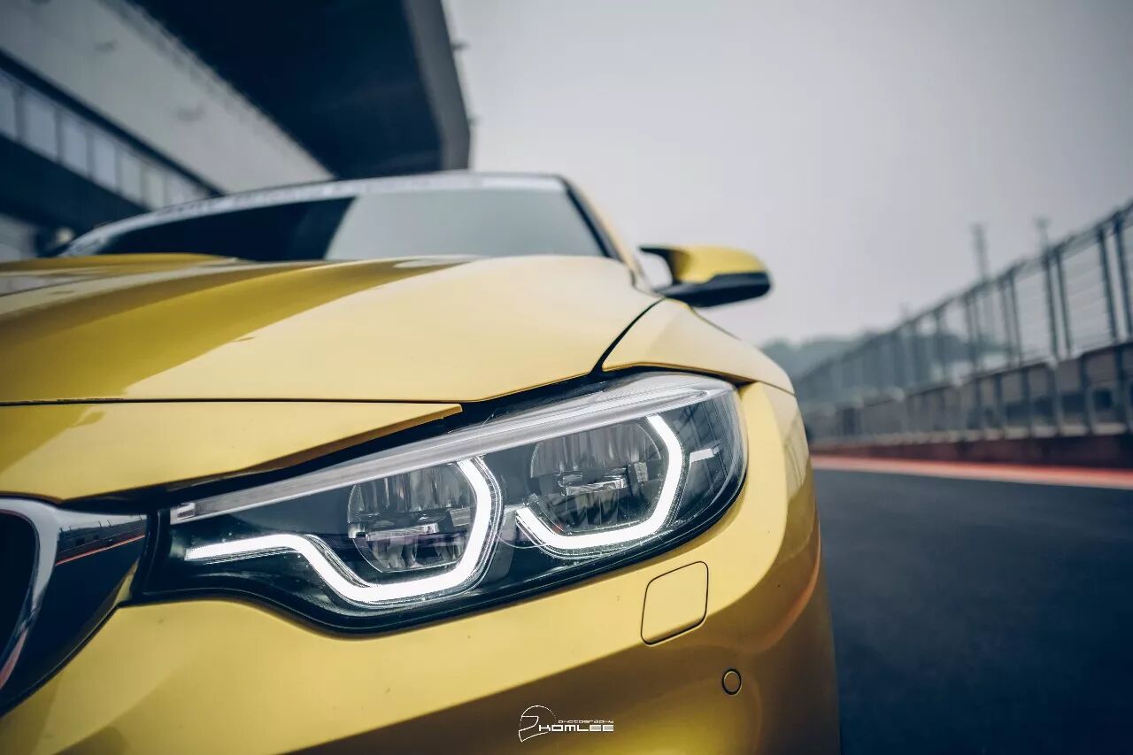 周末清晨，是谁叫醒了你？