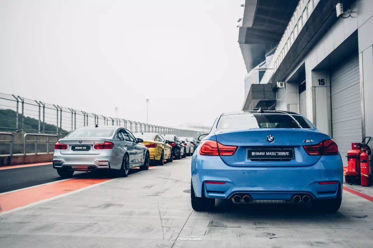 周末清晨，是谁叫醒了你？