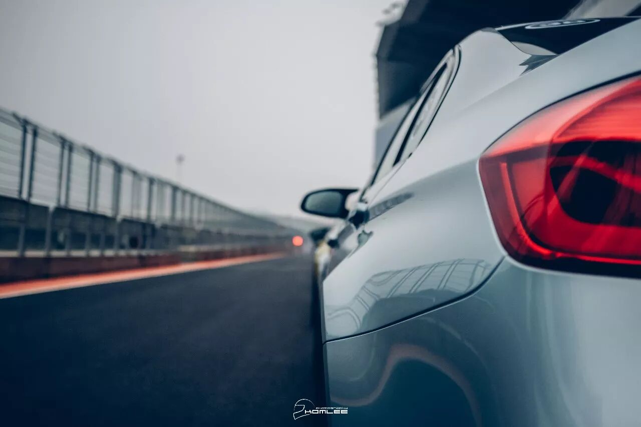 周末清晨，是谁叫醒了你？