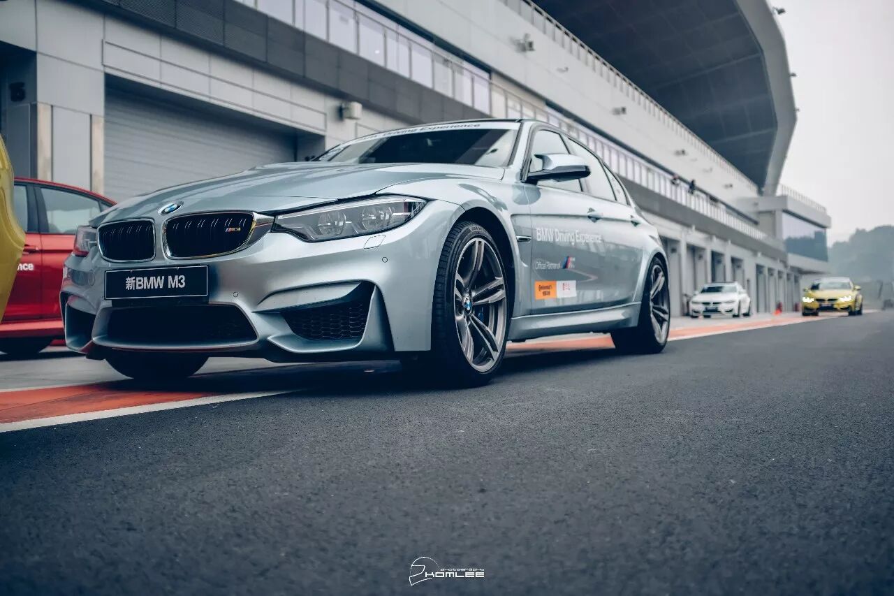 周末清晨，是谁叫醒了你？