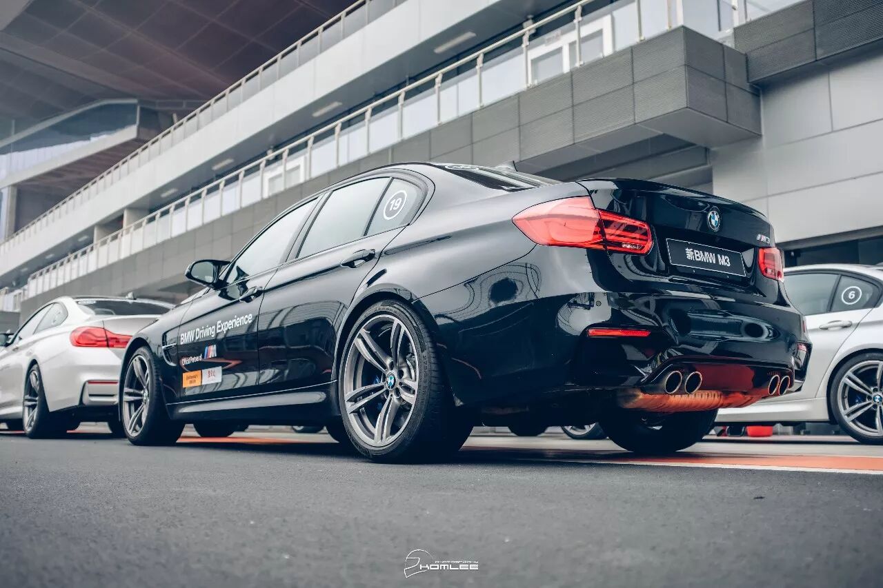 周末清晨，是谁叫醒了你？