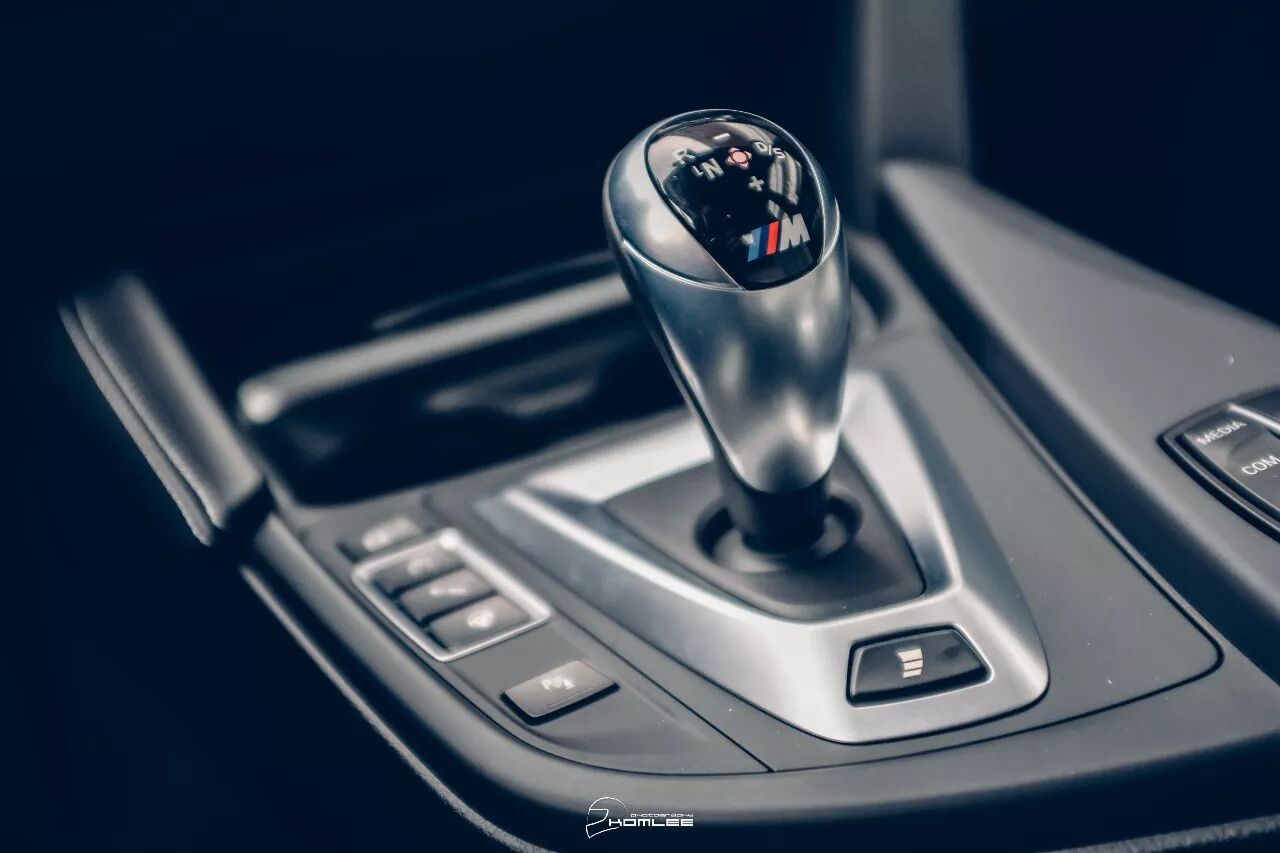 周末清晨，是谁叫醒了你？