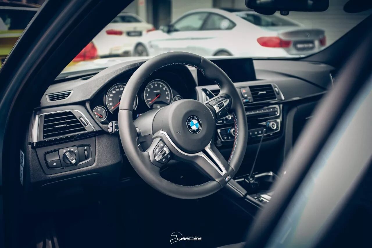 周末清晨，是谁叫醒了你？