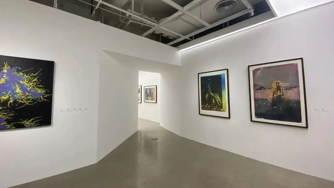 昆明當代美術館學術支持:範迪安 蘇新平策展人:王華祥 郭浩展覽時間