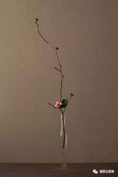 日本花道三大流派 池坊 小原流和草月流 遇燕记燕盏 微信公众号文章阅读 Wemp