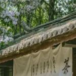 丽江古城景区2023年“五一”假期温馨提示