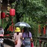 在丽江古城赏一场迟到的春雨