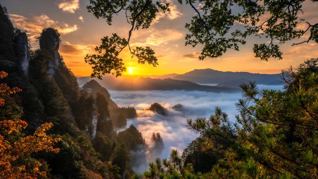 光雾山,藏不住了!高铁出游攻略,山顶的风景总要自己去看看