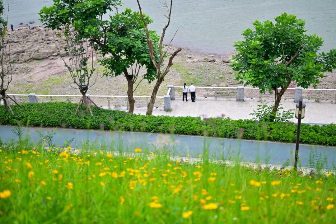 刘家坪立交,大佛寺滨江公园,6号线重庆东站段有新进展