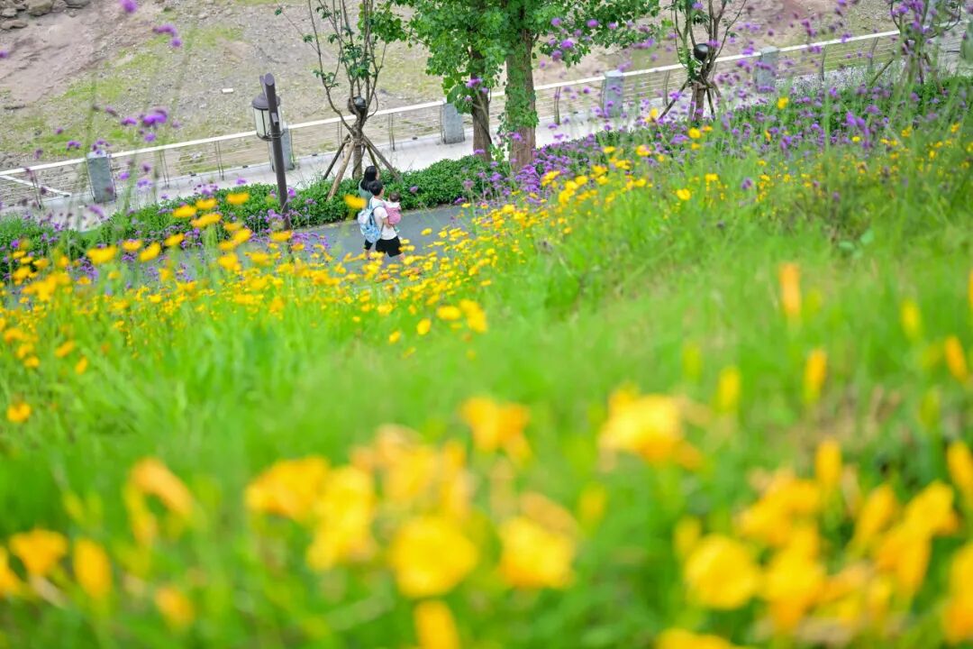 刘家坪立交,大佛寺滨江公园,6号线重庆东站段有新进展