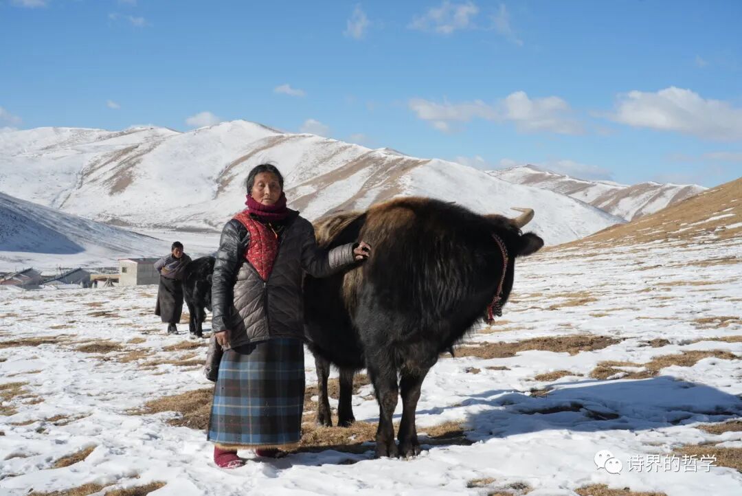 67猎影牧文/摄影symphony no. 8 in c minor, op.