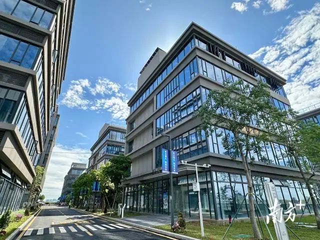广东首个跨境数字经济产业园在华侨试验区启动。  南方+ 杨立轩 拍摄