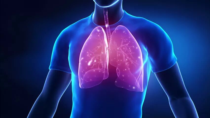 辟谷前要做好哪些准备？你知道吗？