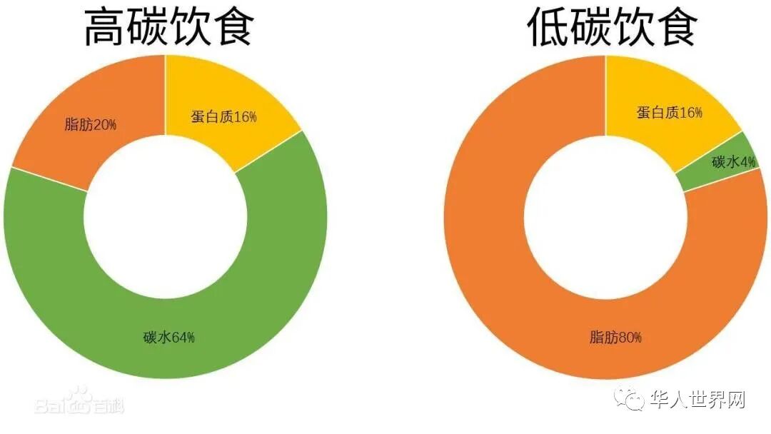高碳、低碳饮食图.jpg