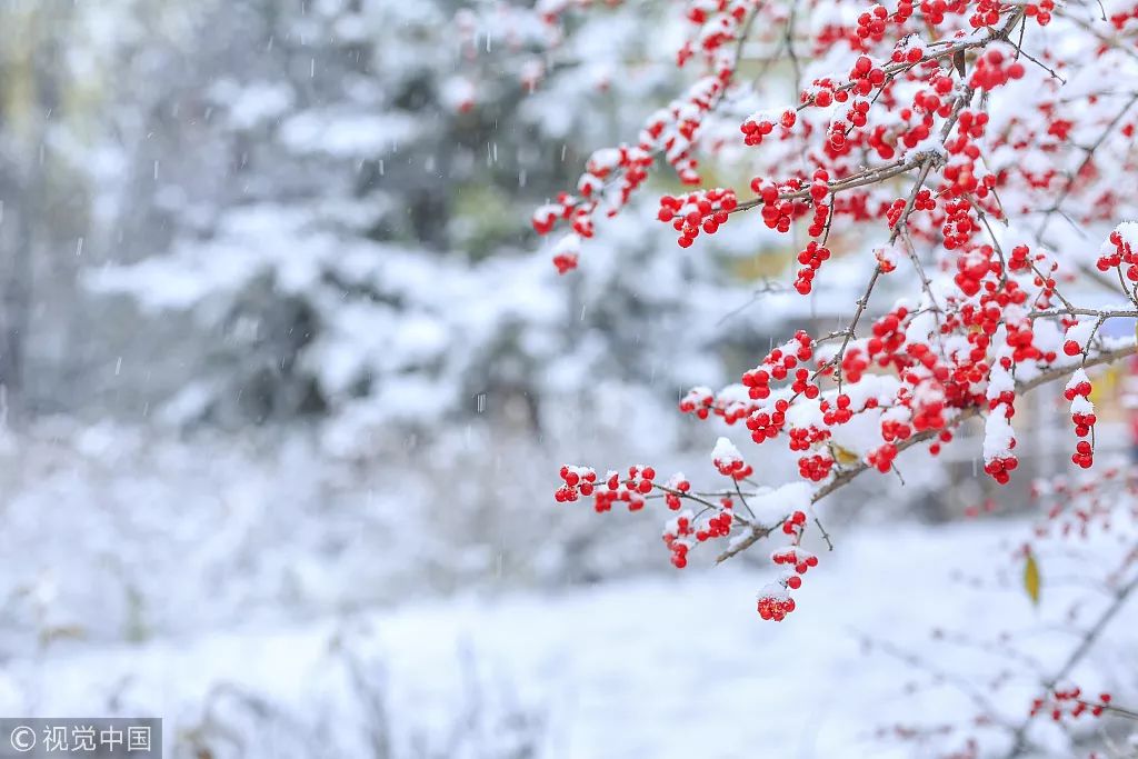 暴雪今夜就來！ 遊戲 第4張