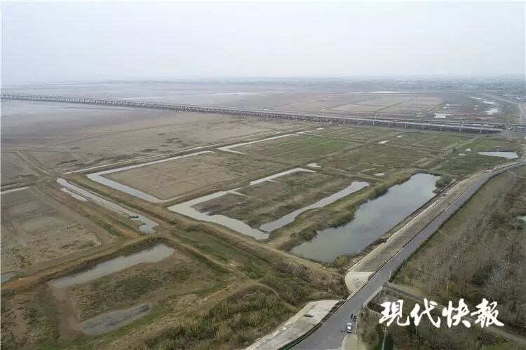 兄弟俩下湖捕鱼被困 救上岸时浑身淤泥已双双身亡