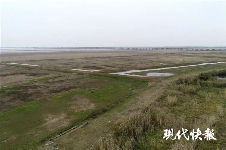 兄弟俩下湖捕鱼被困 救上岸时浑身淤泥已双双身亡