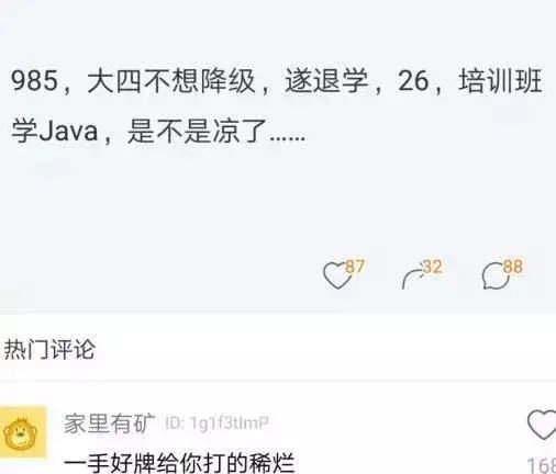 放弃985名校学历 退学转行做程序员 到底是有魄力还是一手好牌被打烂 程序员内参 二十次幂