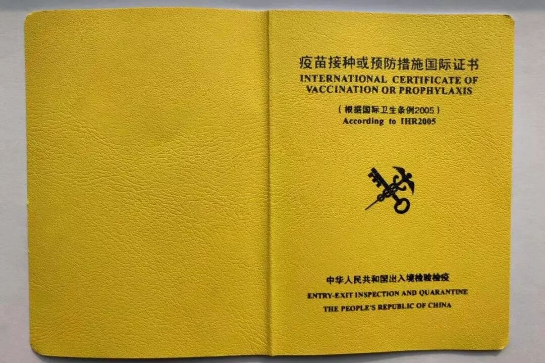 新加坡留学学校排名,2019年AEIS考试