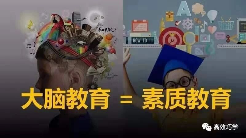 大脑教育，是最科学的素质教育，未来孩子的希望
