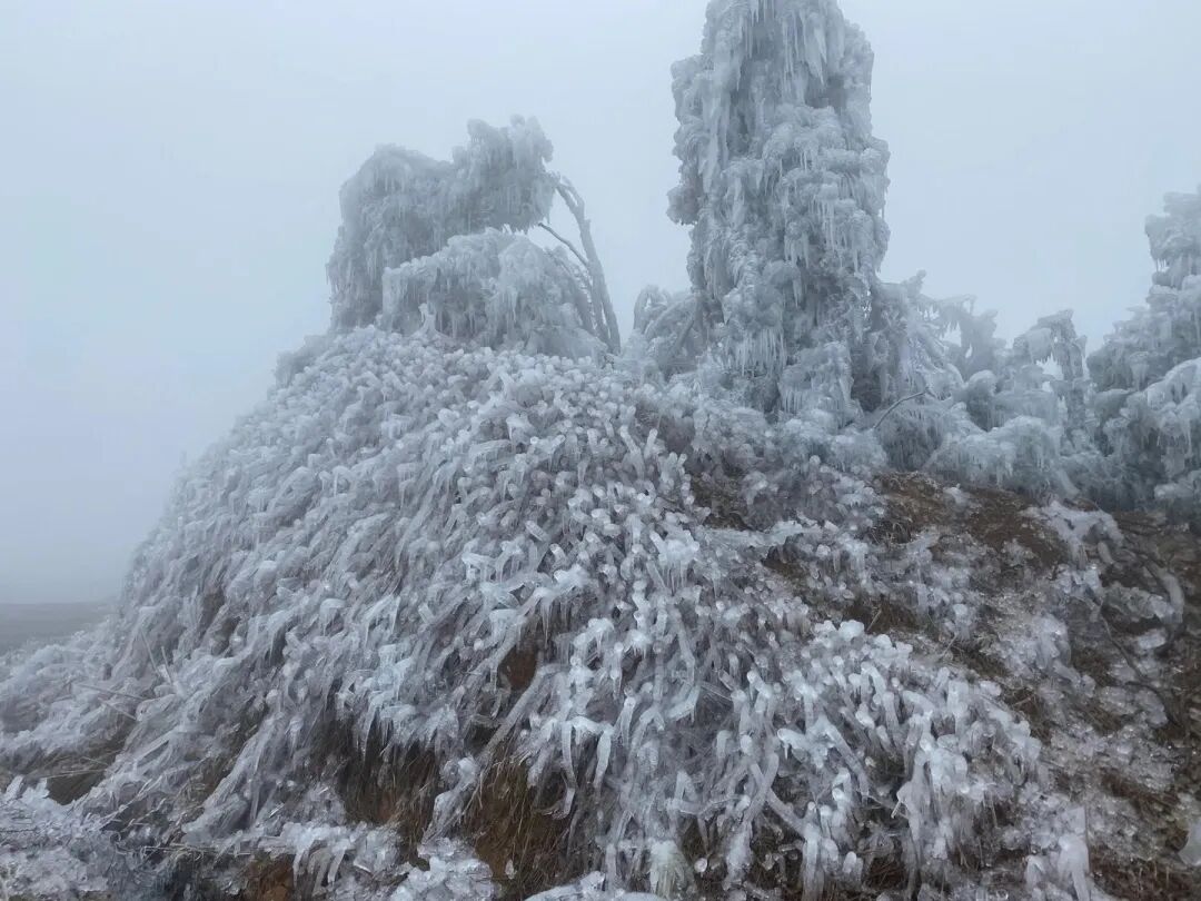 副县长,县公安局党委书记,局长陈征明多次深入一线检