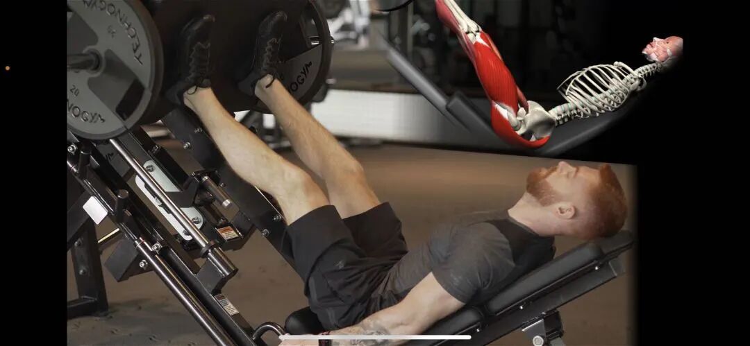 为什么会有单关节器械【前叉术后】康复器械的选择与训练技巧！别再做无效康复了！_https://www.jmylbn.com_新闻资讯_第13张